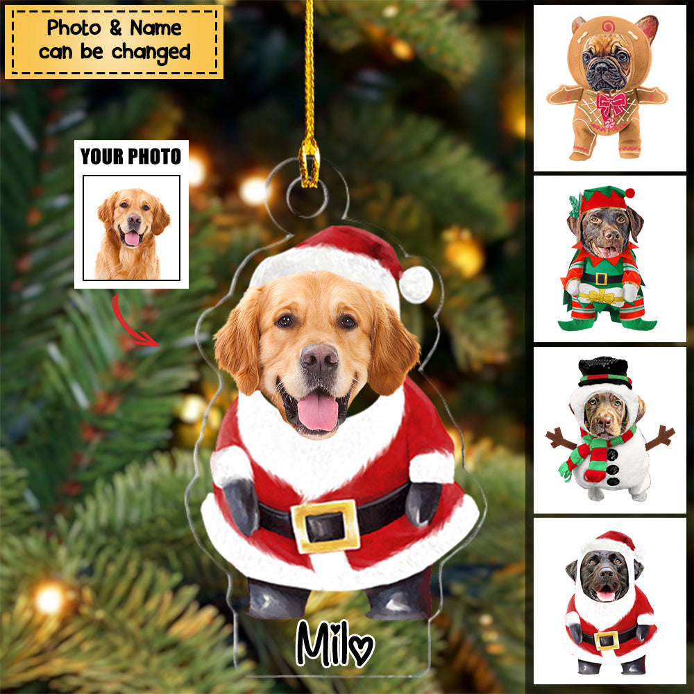 Dog / Cat Lovers - Pet Costume Christmas - Personalized Ornament