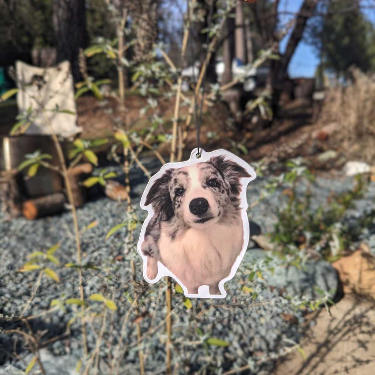 Personalized Cute Car Photo Car Air Freshies