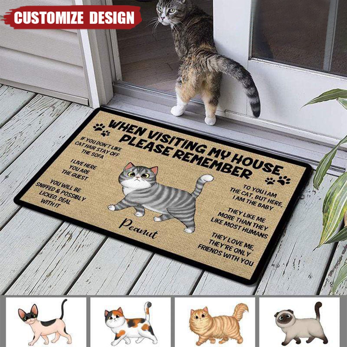 Please Remember When Visiting Cats House Personalized Doormat