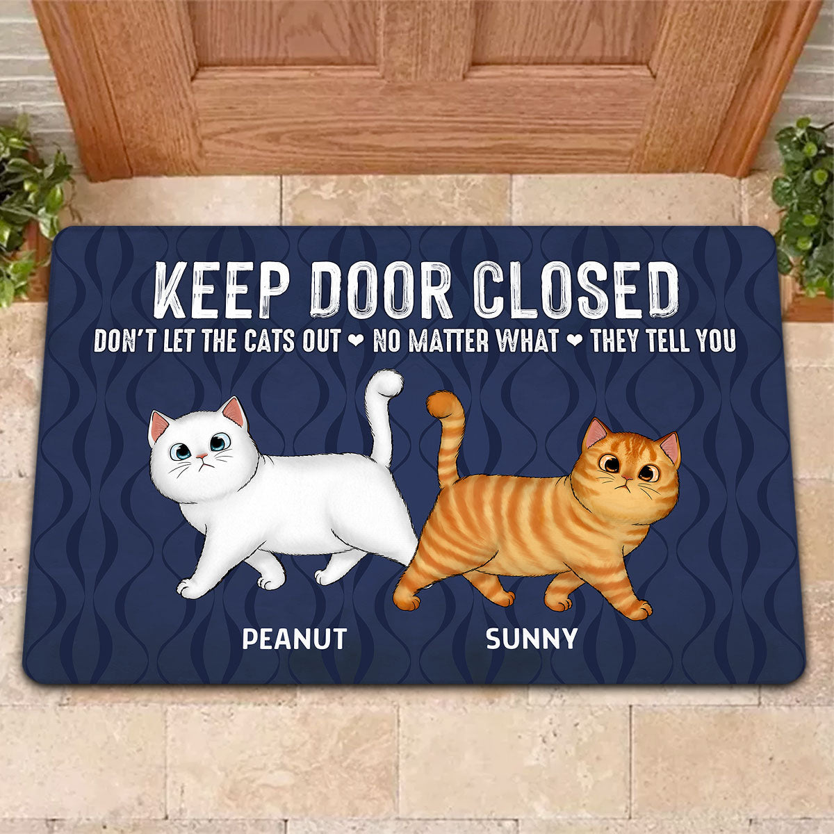 Keep Door Closed Walking Fluffy Cat Personalized Doormat - Gift For Cat Lovers